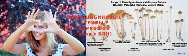 МДМА Касимов