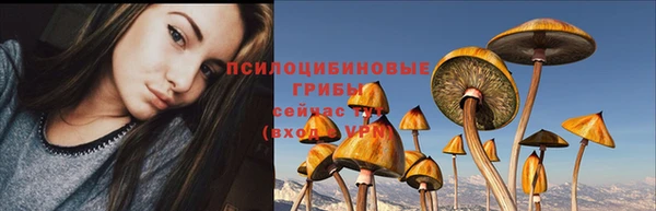мескалин Карпинск