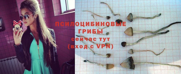 мескалин Карпинск