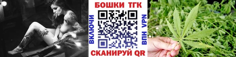 Купить закладки  Кимовск  Канабис сатива 